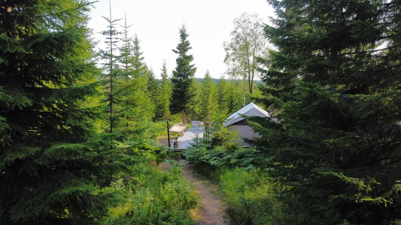 Glamping Tent With Amazing View In The Forest Torsby Exterior foto