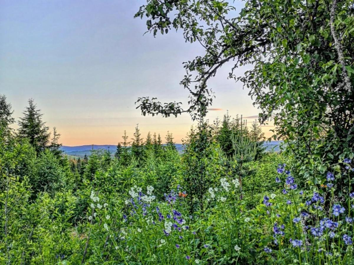 Glamping Tent With Amazing View In The Forest Torsby Exterior foto