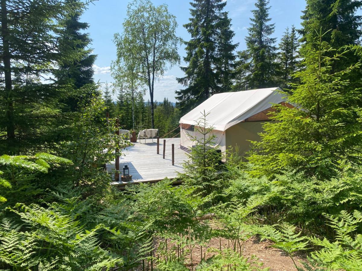 Glamping Tent With Amazing View In The Forest Torsby Exterior foto